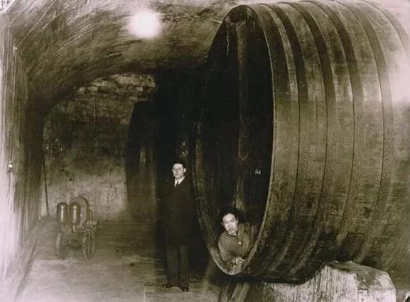 QQ圖片20180713094553