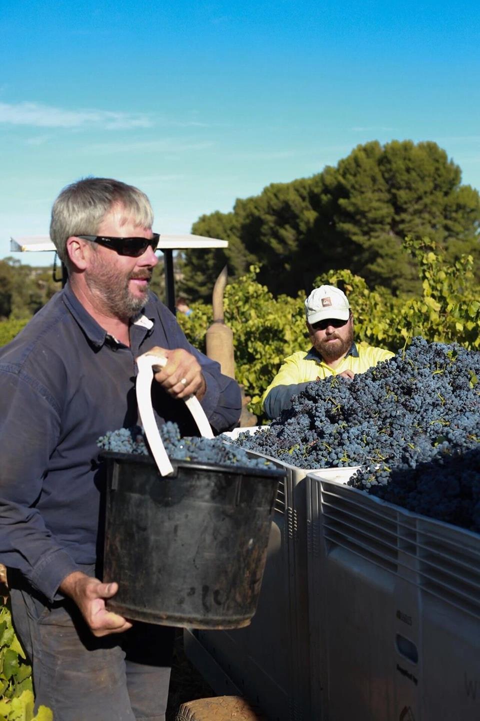 QQ圖片20181009164403